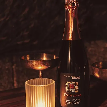 Hisa Orel דירה *