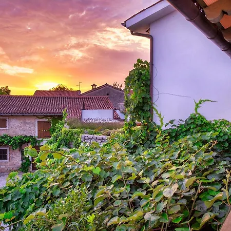 Hisa Orel דירה *