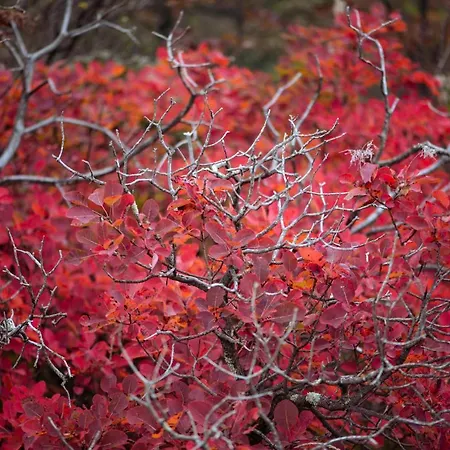 דירה Hisa Orel *