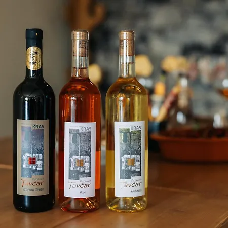 Διαμέρισμα Hisa Orel Kriz